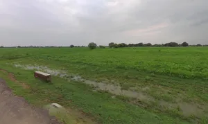 Mehrana, Haryana 124102, India preview 2