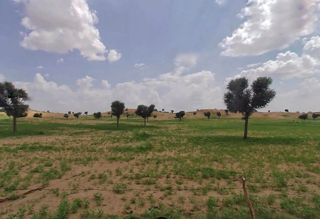 Sherpura, Rajasthan 334604, India