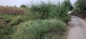 Nagla Faujdar, Rajasthan 321203, India preview 2