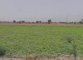 Sirondhan, Uttar Pradesh 203205, India preview 3