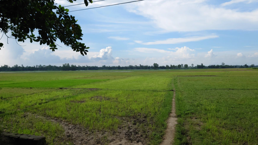 5GQG+PCR, Mulhera, Uttar Pradesh 250342, India