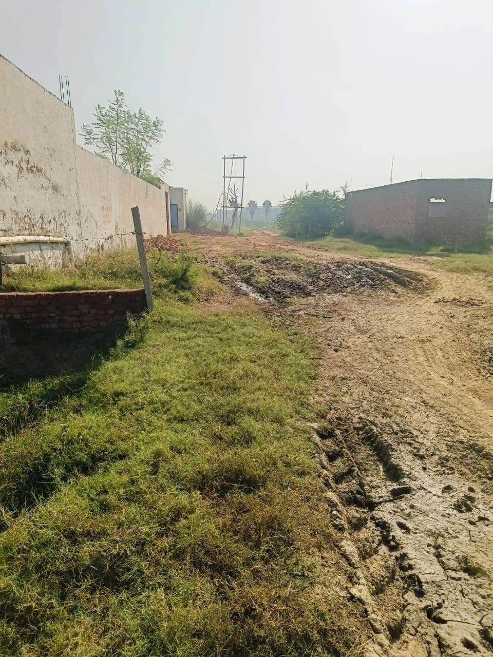Barhana, Mathura, Uttar Pradesh, India