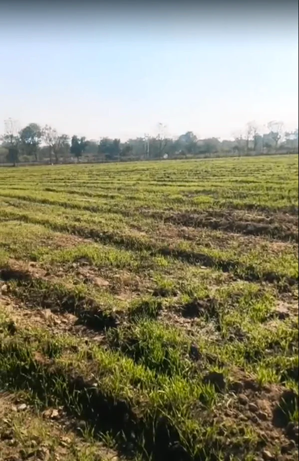 Q29V+5R Khempur, Rajasthan, India preview 2