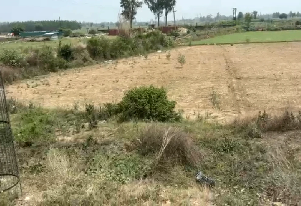 RVJX+CQ Roorkee, Haridwar, Uttarakhand, India