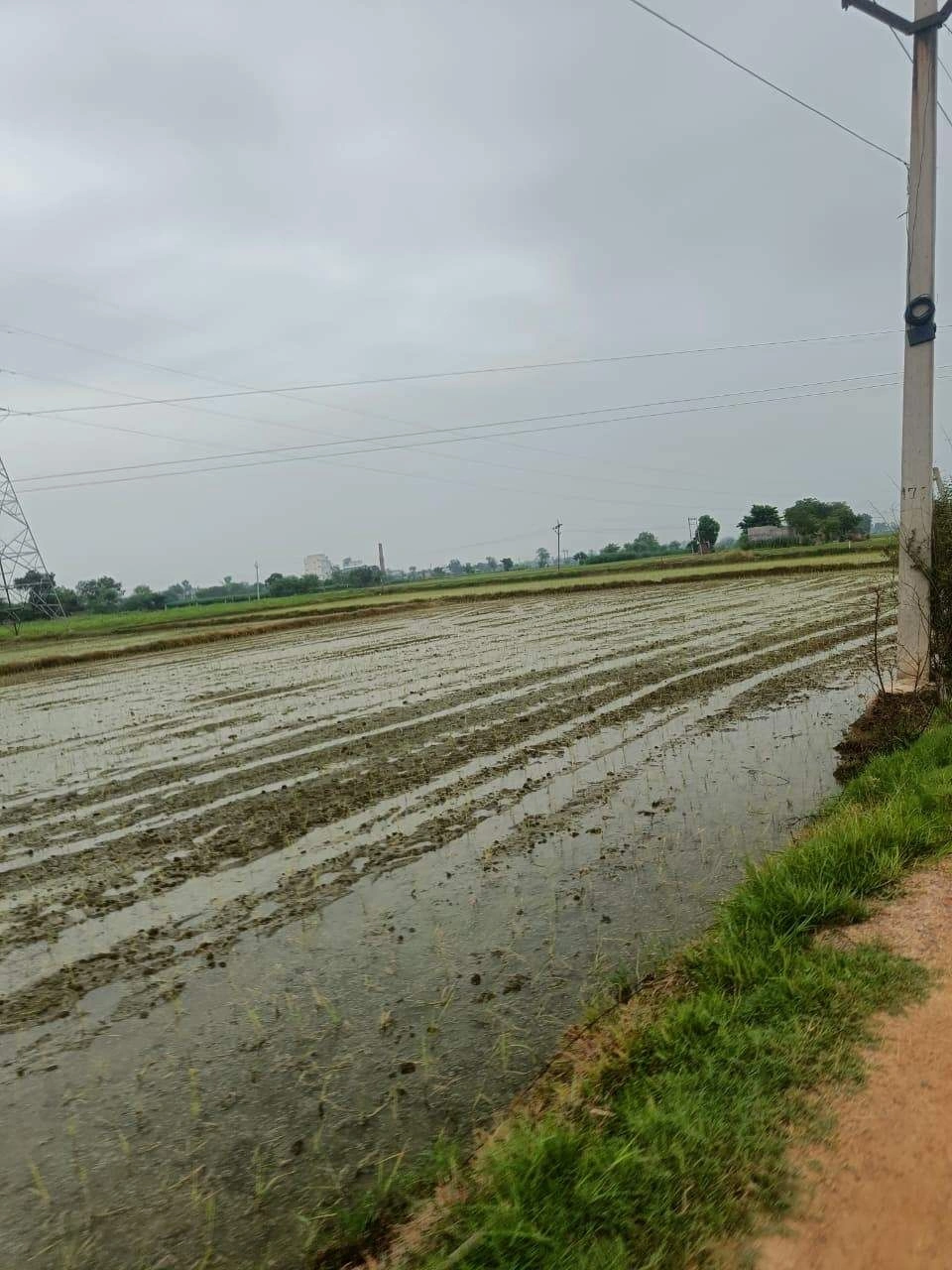 Bukharari, Mathura, Uttar Pradesh, India