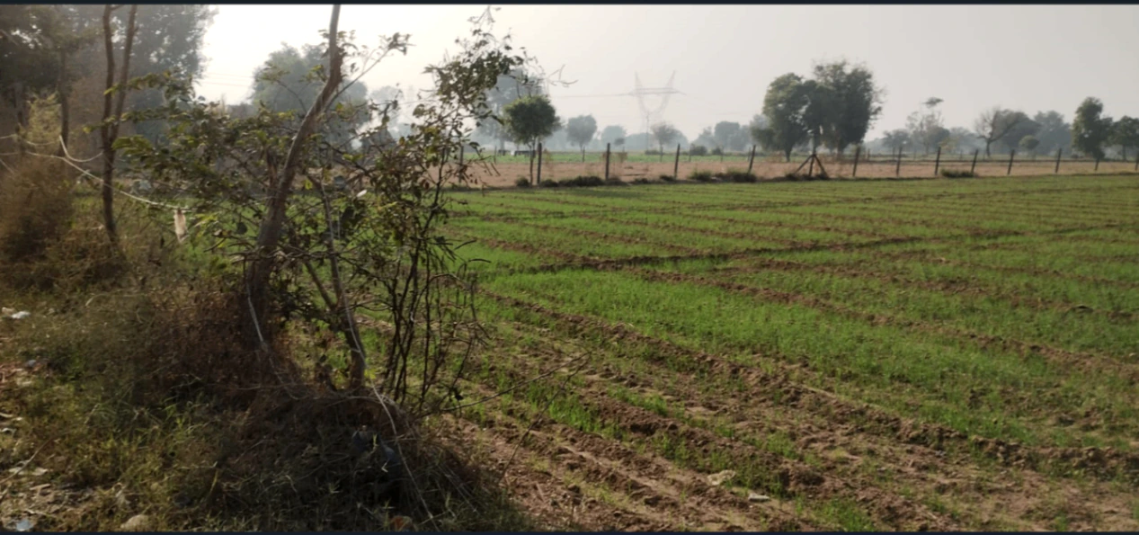 Narayanpur, Uttar Pradesh 202141, India