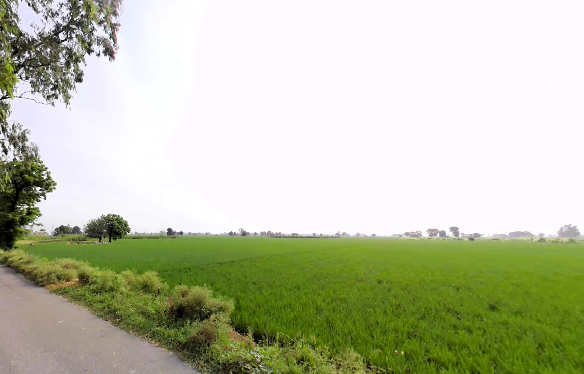 Madlauda, Haryana 132113, India