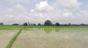 Salaiya, Madhya Pradesh, India preview 2