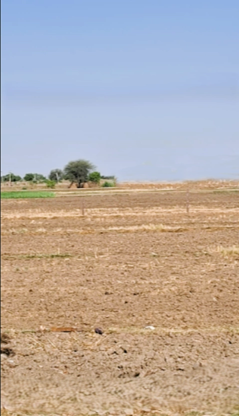 6JWQ+8W Govindgarh, Rajasthan, India