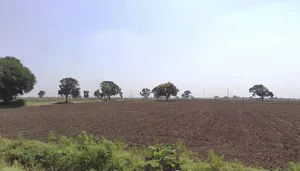 Bolai, Madhya Pradesh 465220, India preview 2