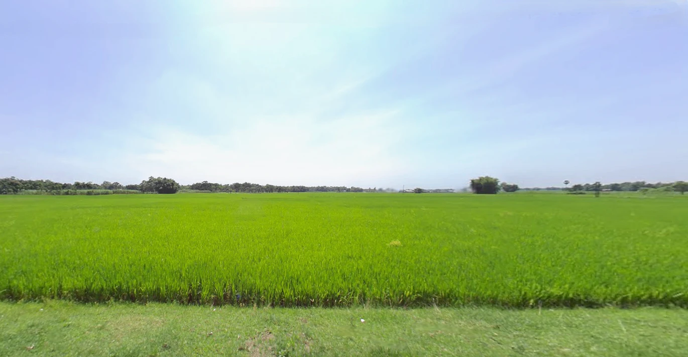 Siliguri, West Bengal, India