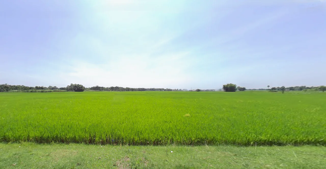 Siliguri, West Bengal, India preview 2