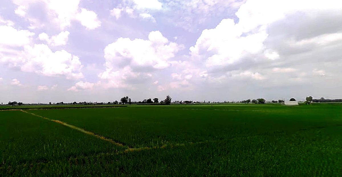 Morinda - Chunni Rd, Bhateri, Punjab, India