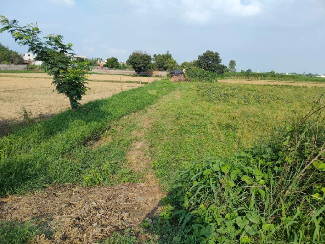 Ganesara, Mathura, Uttar Pradesh, India