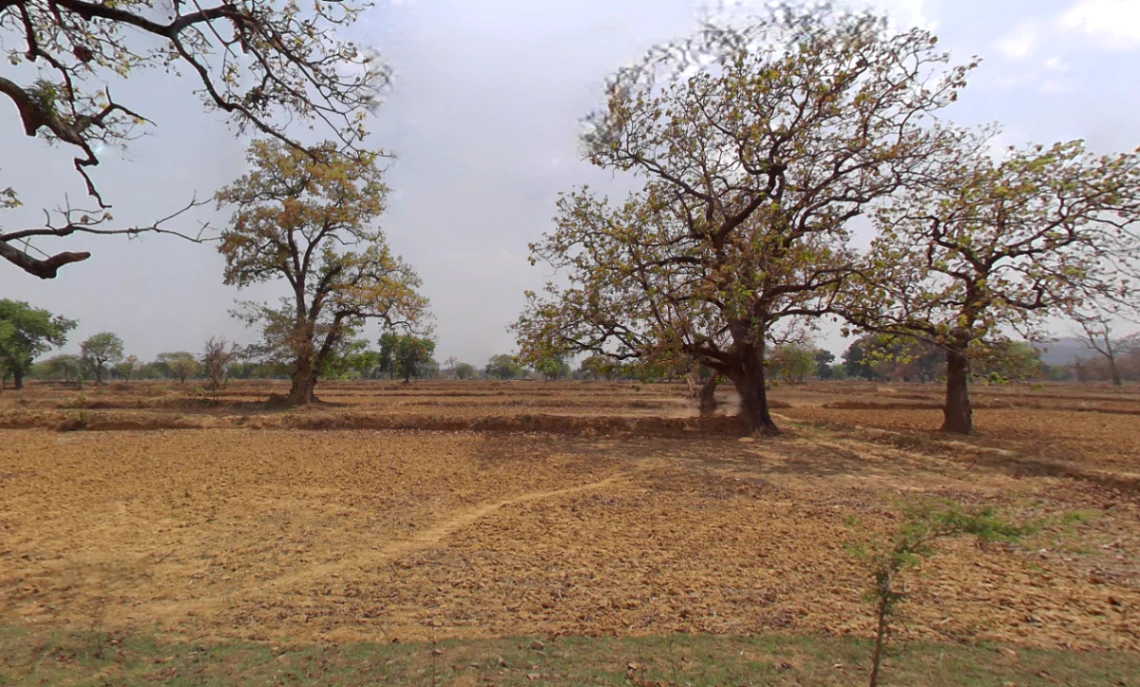 Bhalukona, Chhattisgarh 493449, India