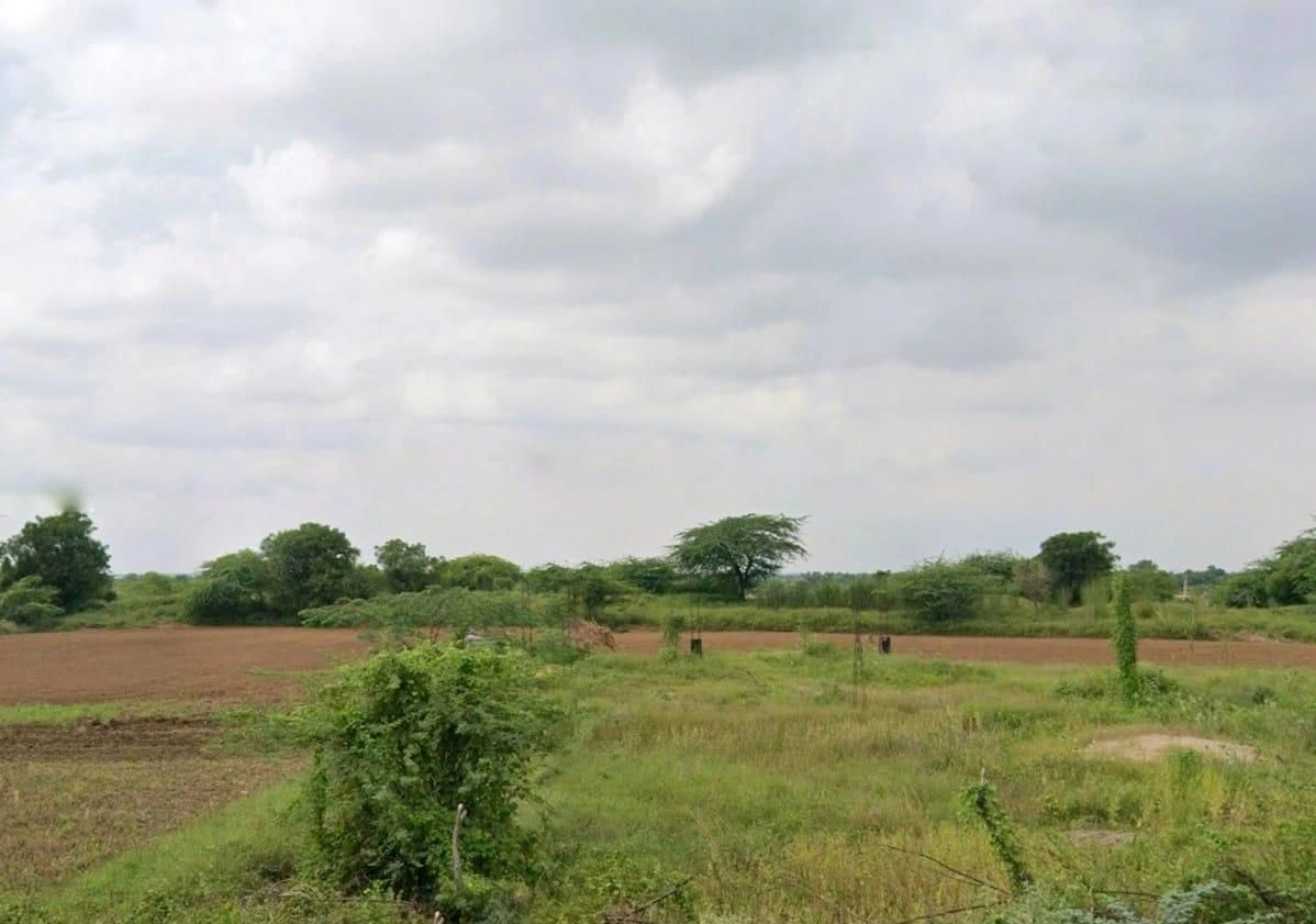 6RFW+5P5, Bor Khandi Khurd, Rajasthan 304021, India