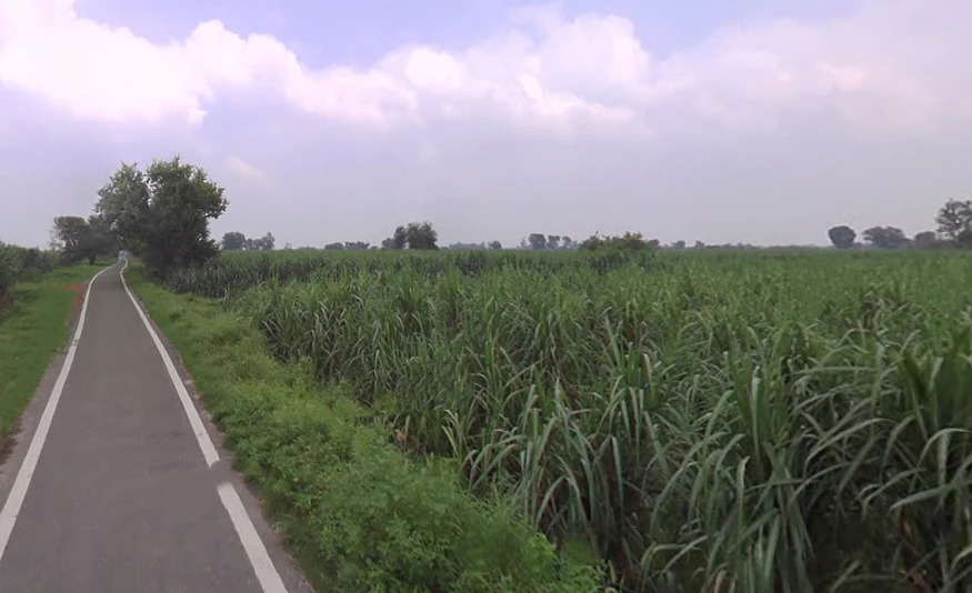 Chandna, Uttar Pradesh 250342, India