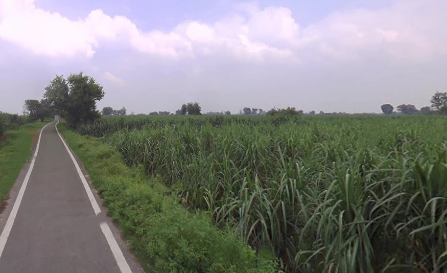 Chandna, Uttar Pradesh 250342, India