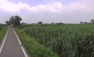 Chandna, Uttar Pradesh 250342, India preview 2