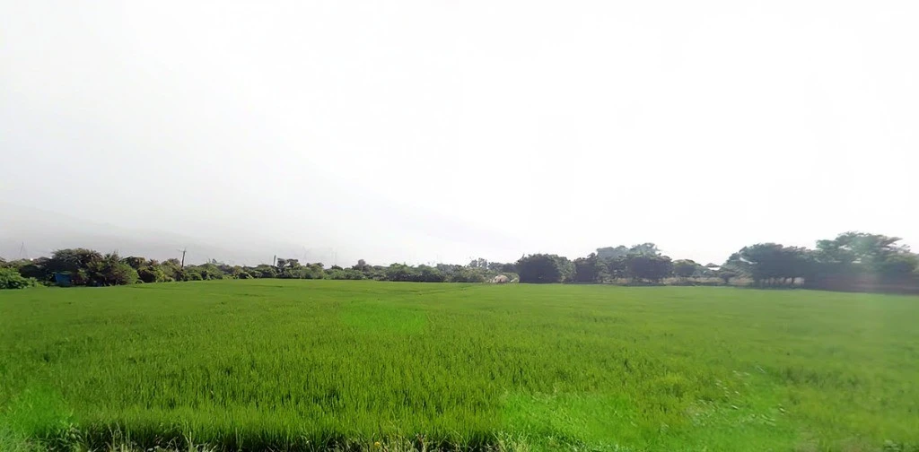 Mandkola, Haryana 121103, India