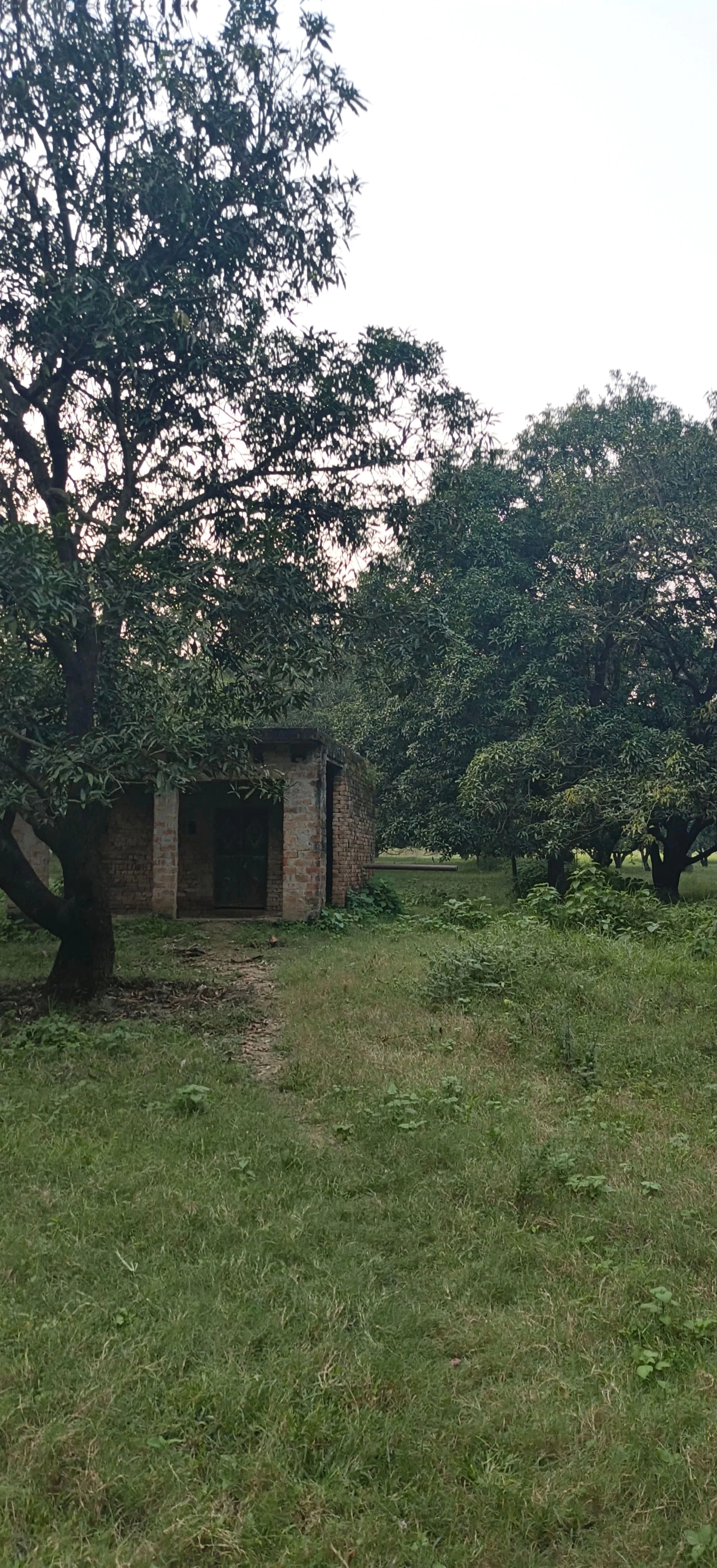 Nagina, Bijnor, Uttar Pradesh 246762, India
