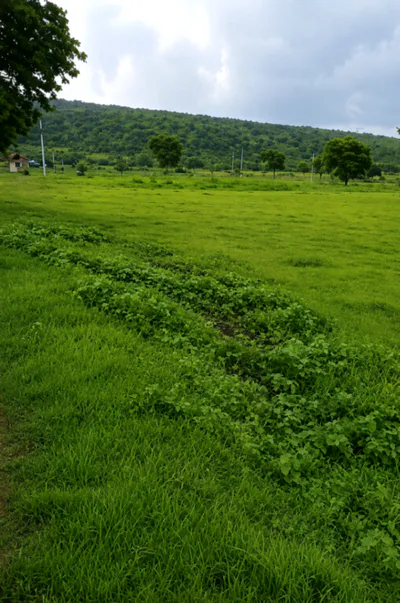 Kabrai, Mahoba, Uttar Pradesh 210424, India preview 3