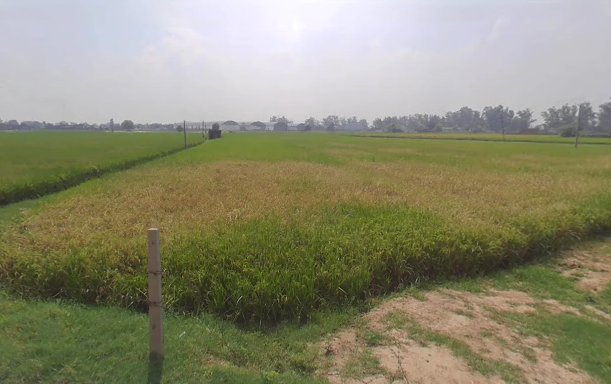 Pehowa, Haryana 136128, India preview 2