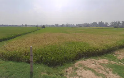 Pehowa, Haryana 136128, India preview 2