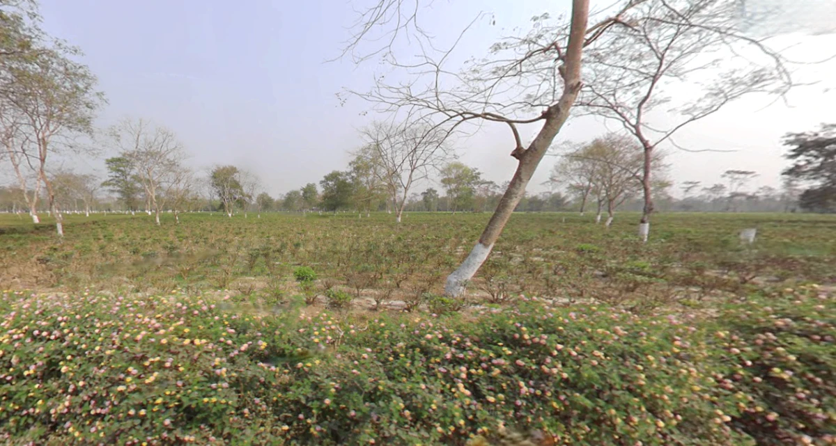 Mal Bazar, West Bengal 735221, India