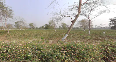 Mal Bazar, West Bengal 735221, India preview 3