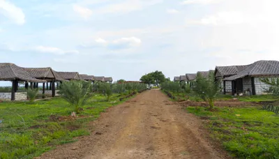 Wasar, Sangareddy, Telangana 502286, India preview 4