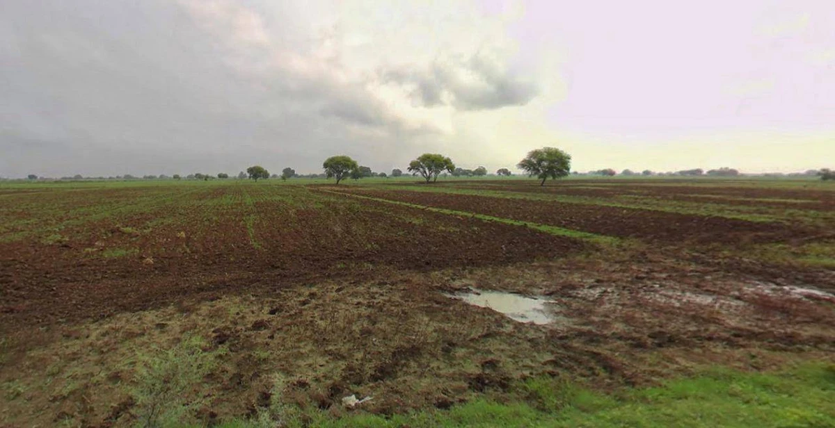 Sonipat, Haryana, India