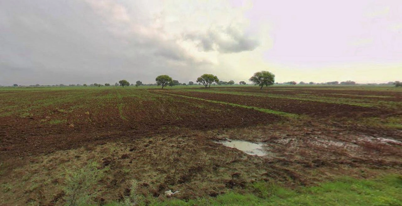 Sonipat, Haryana, India