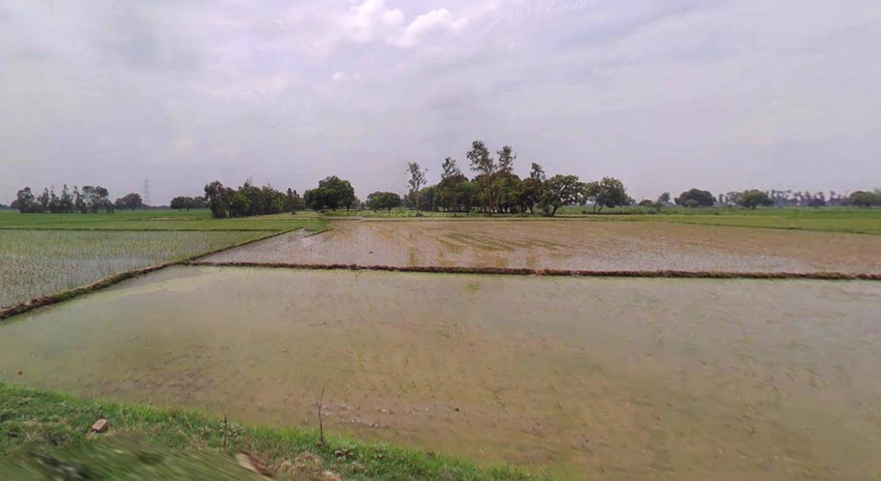 Kathoomar, Rajasthan 321605, India