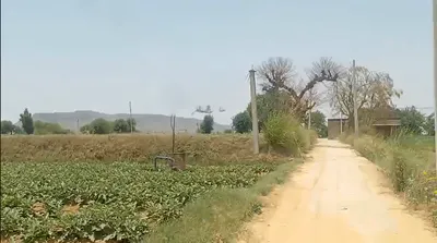 C2MX+V5M, Jawanpura, Rajasthan 303119, India preview 3