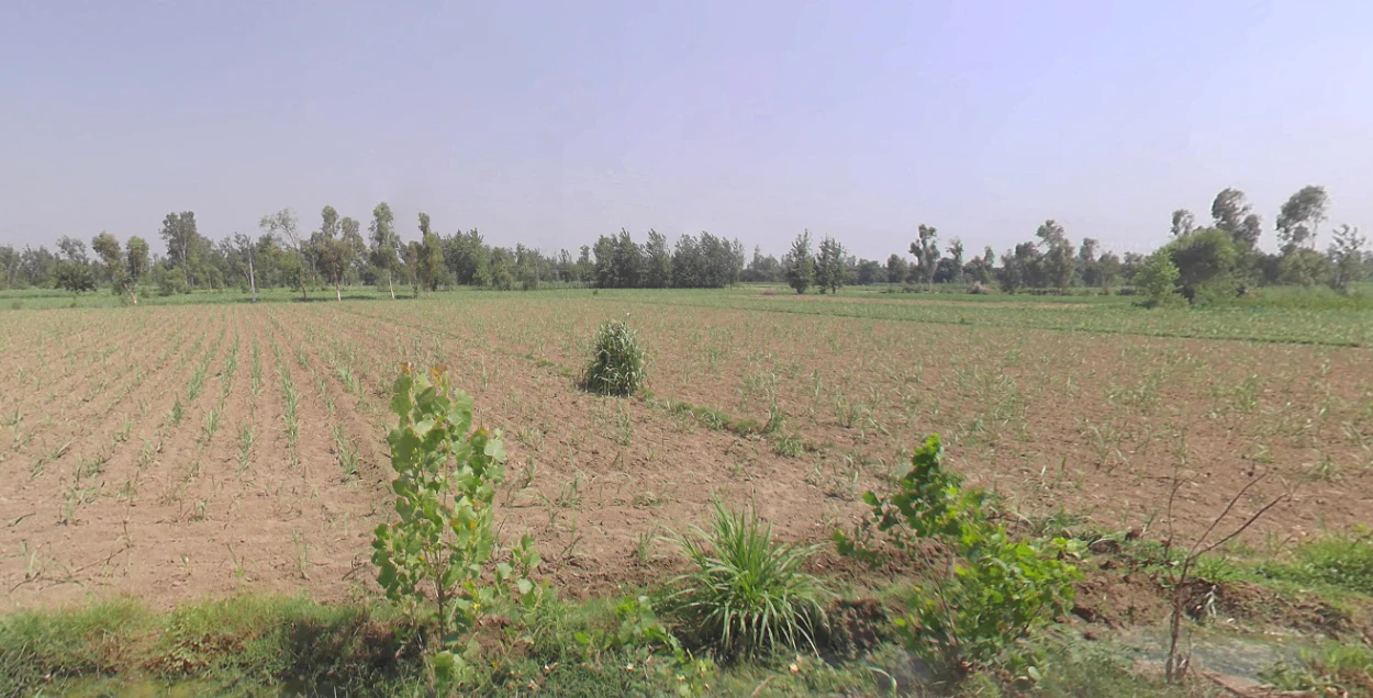 Siyana, Uttar Pradesh 203412, India