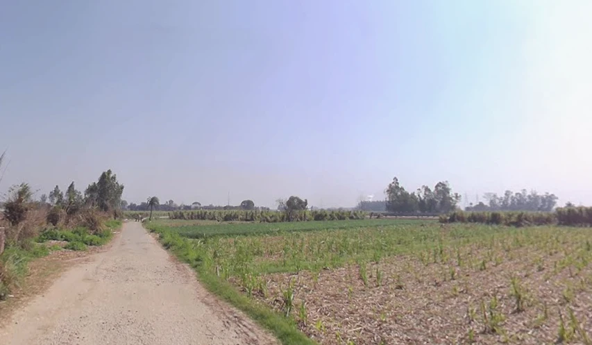 Mawana, Uttar Pradesh, India