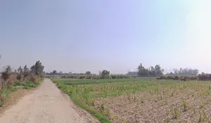 Mawana, Uttar Pradesh, India preview 2
