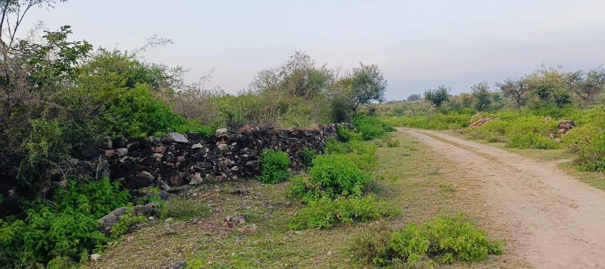 VQPH+QF Rabcha, Rajasthan, India