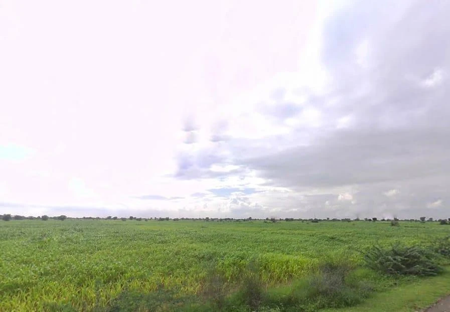 Awanidiya Sultaniya Phagi Rd, Phagi, Rajasthan 303005, India