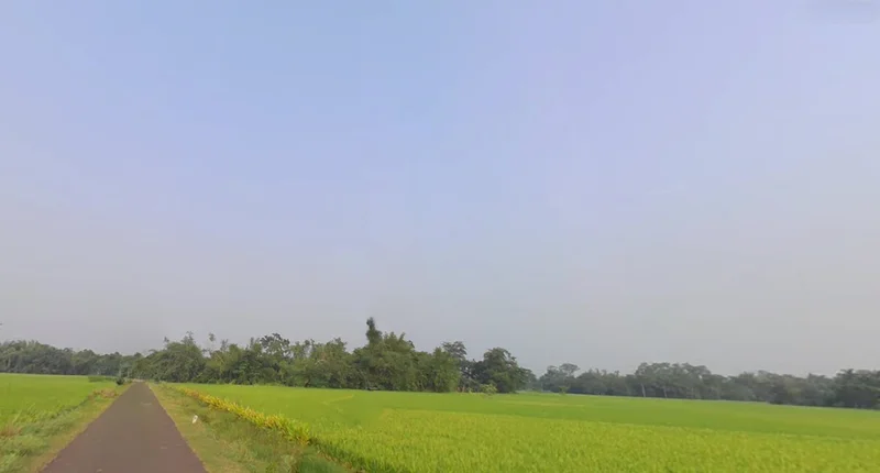 Paschim Medinipur, West Bengal, India preview 2