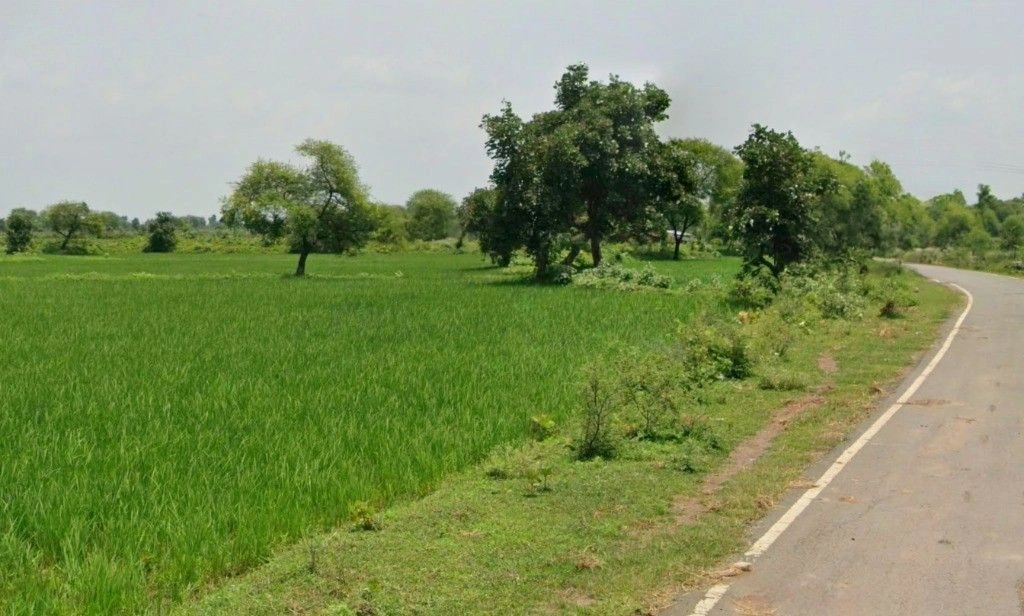 Bori, Chhattisgarh 491441, India