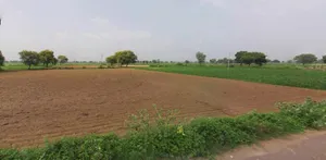 Barpeta, Assam, India preview 3