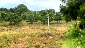 F929+M9 Kamakshihalli, Karnataka, India preview 3