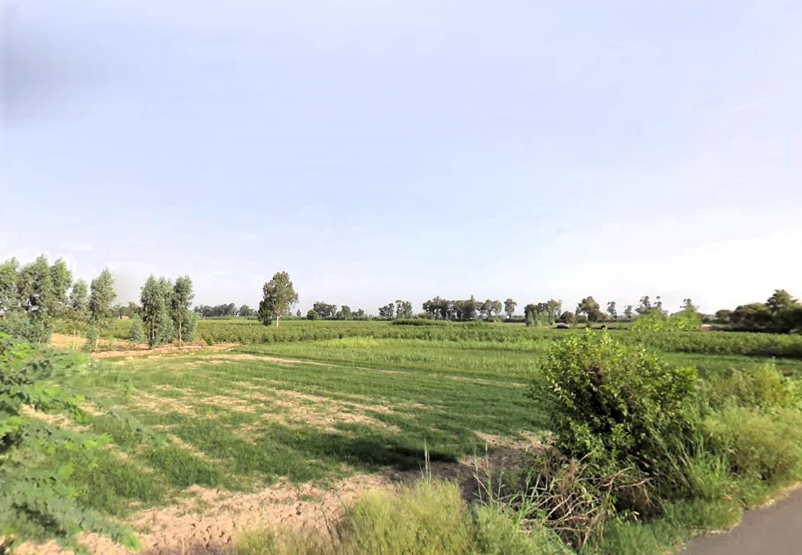 Tosham Rural, Haryana 127040, India