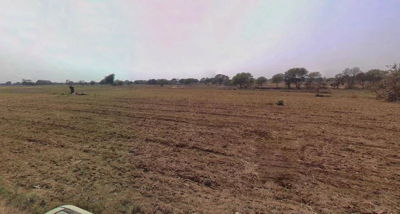 Charkhi Dadri, Haryana 127306, India preview 2