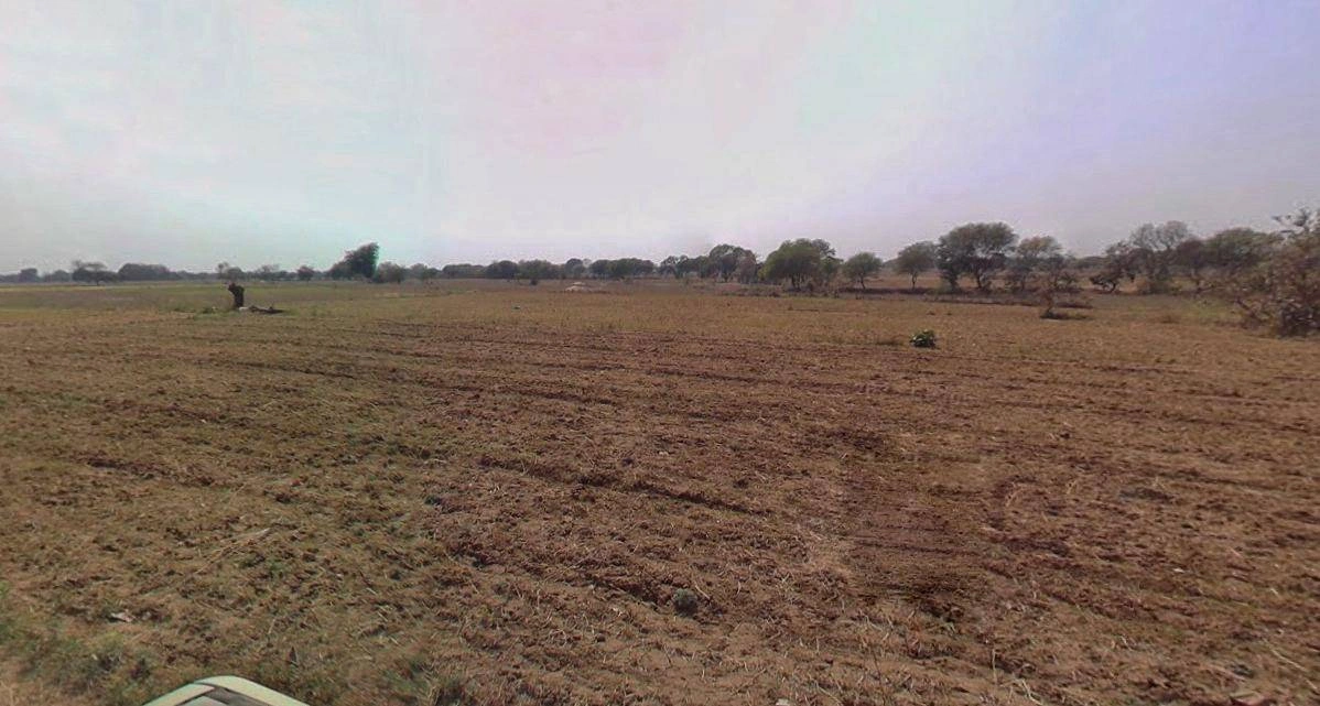 Charkhi Dadri, Haryana 127306, India