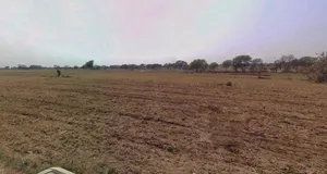 Charkhi Dadri, Haryana 127306, India preview 2