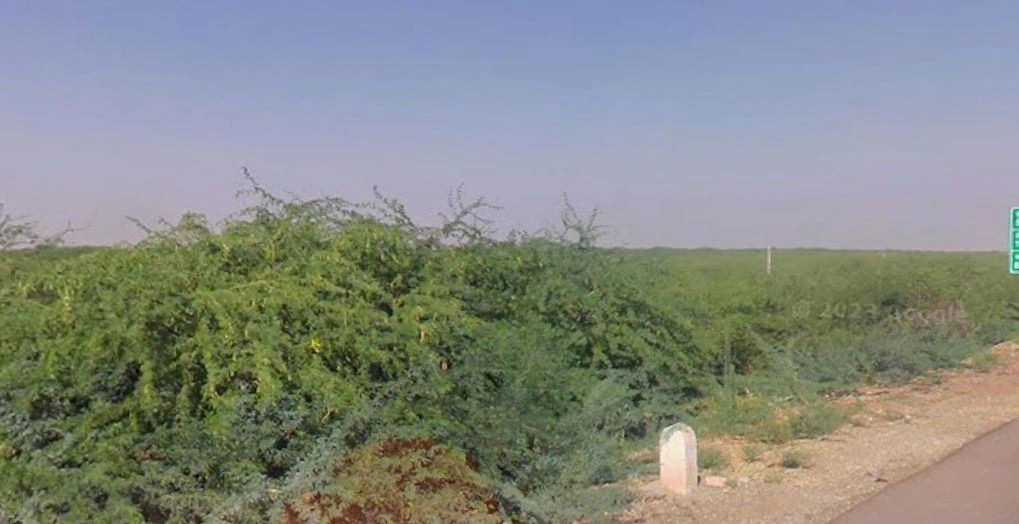 Arjana, Rajasthan 345001, India