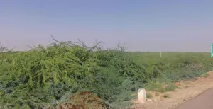 Arjana, Rajasthan 345001, India preview 3